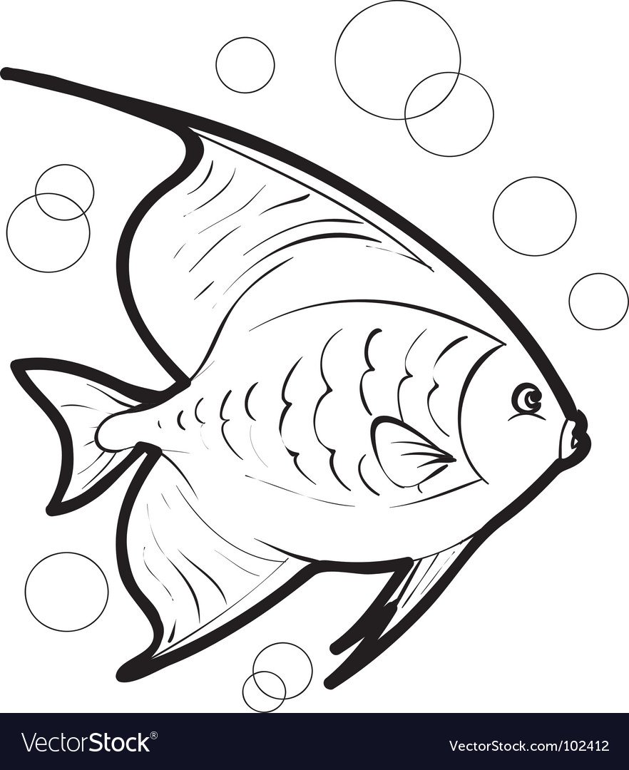 Черно белые аквариумные рыбки