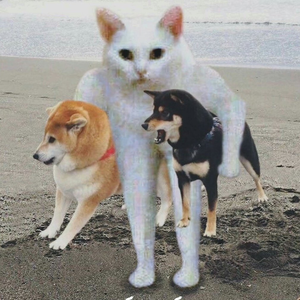 Дратути Мем собака