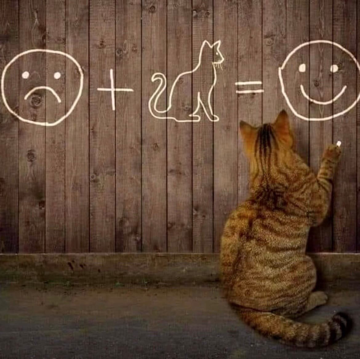 Четвероногие звери