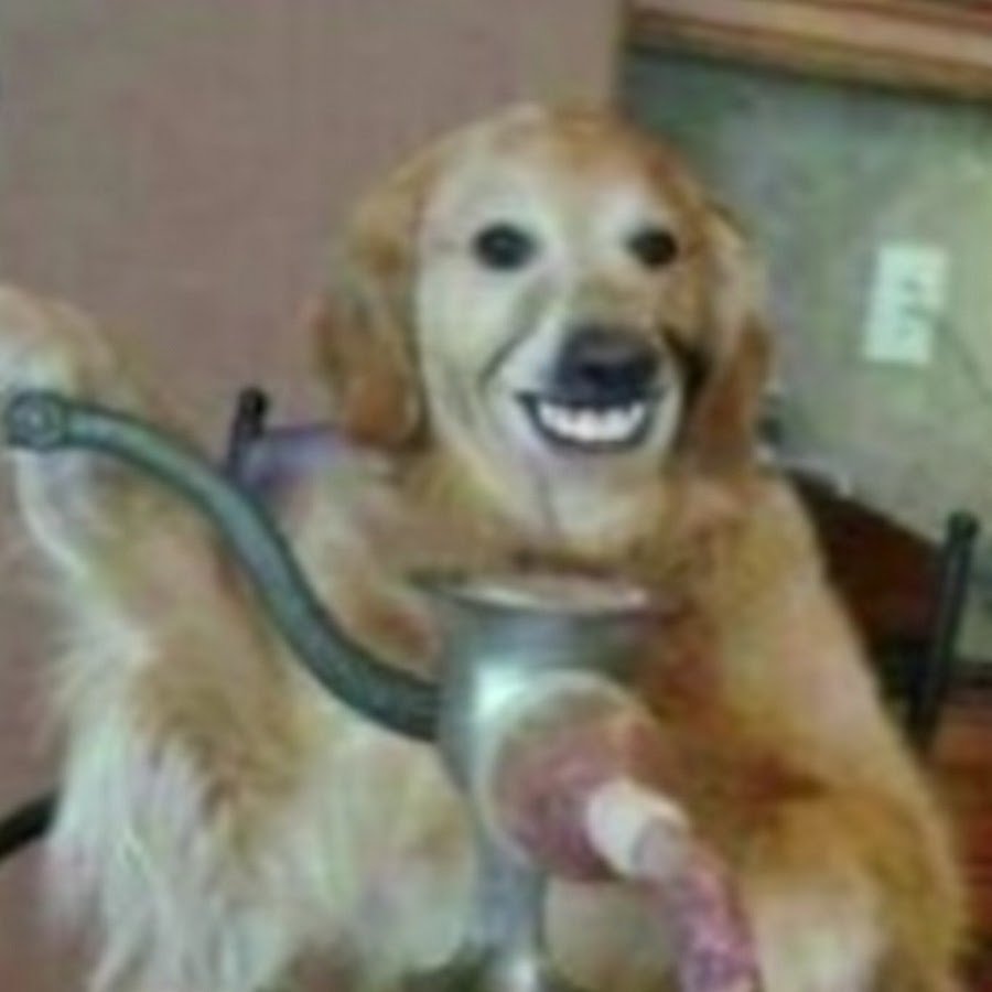 Я таки дико извиняюсь