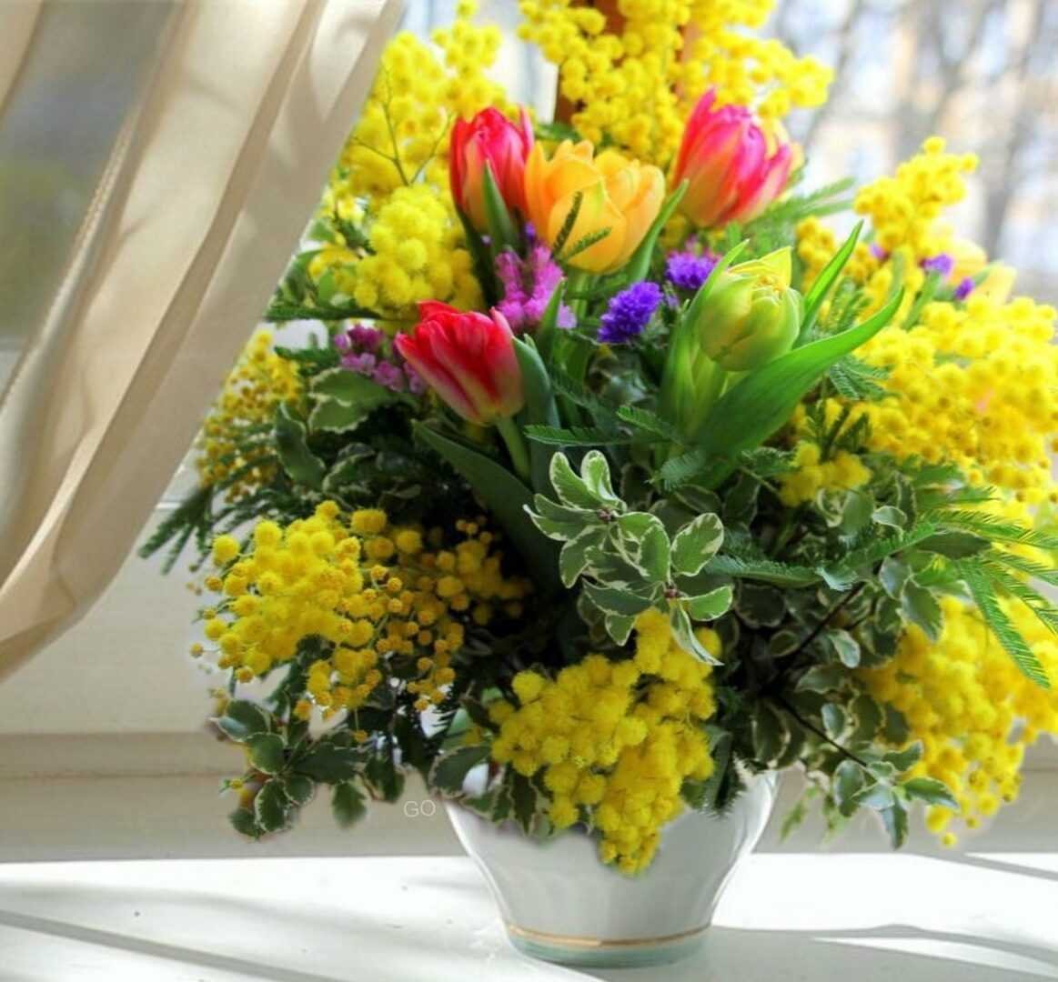 Мимоза цветок