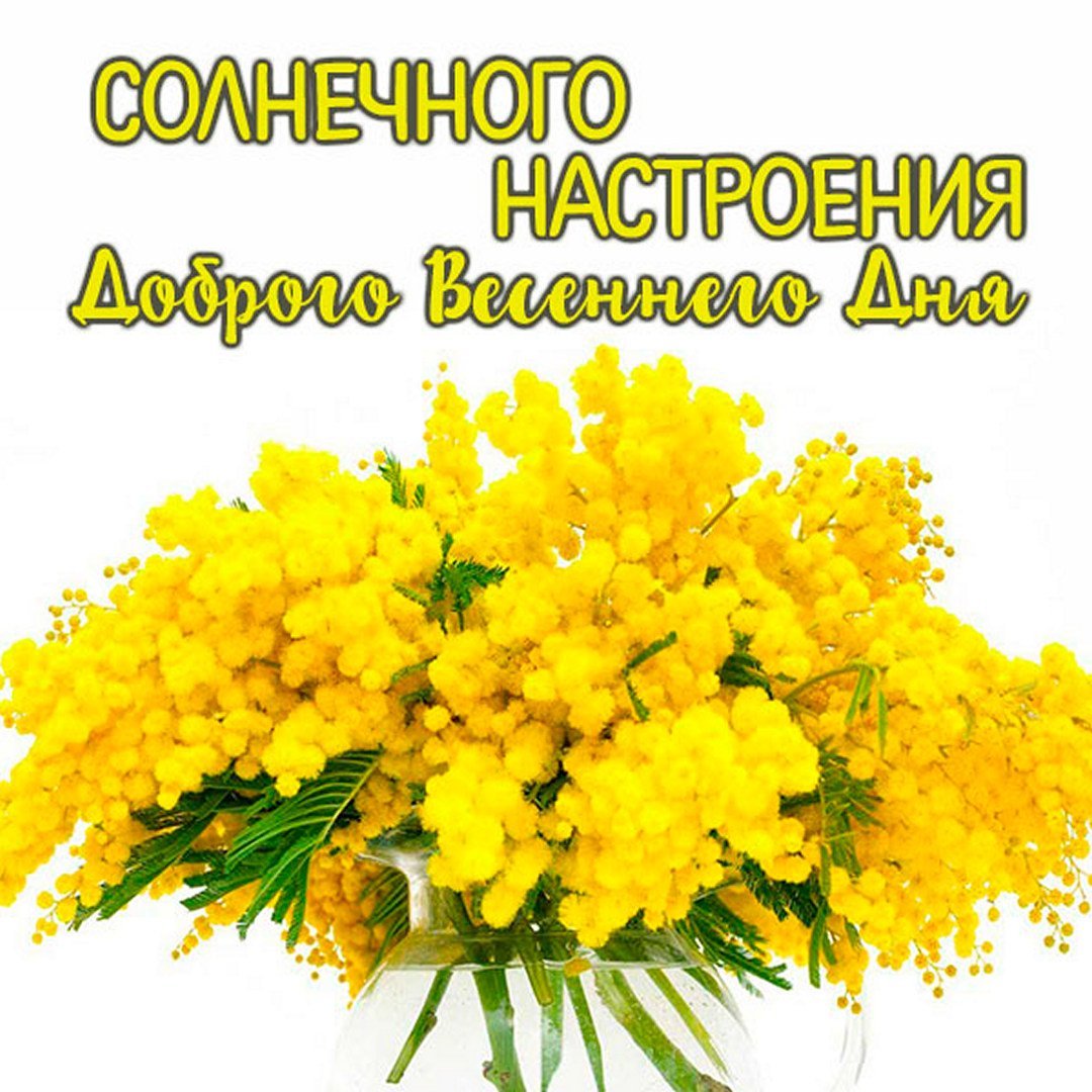 Уральская Мимоза цветок