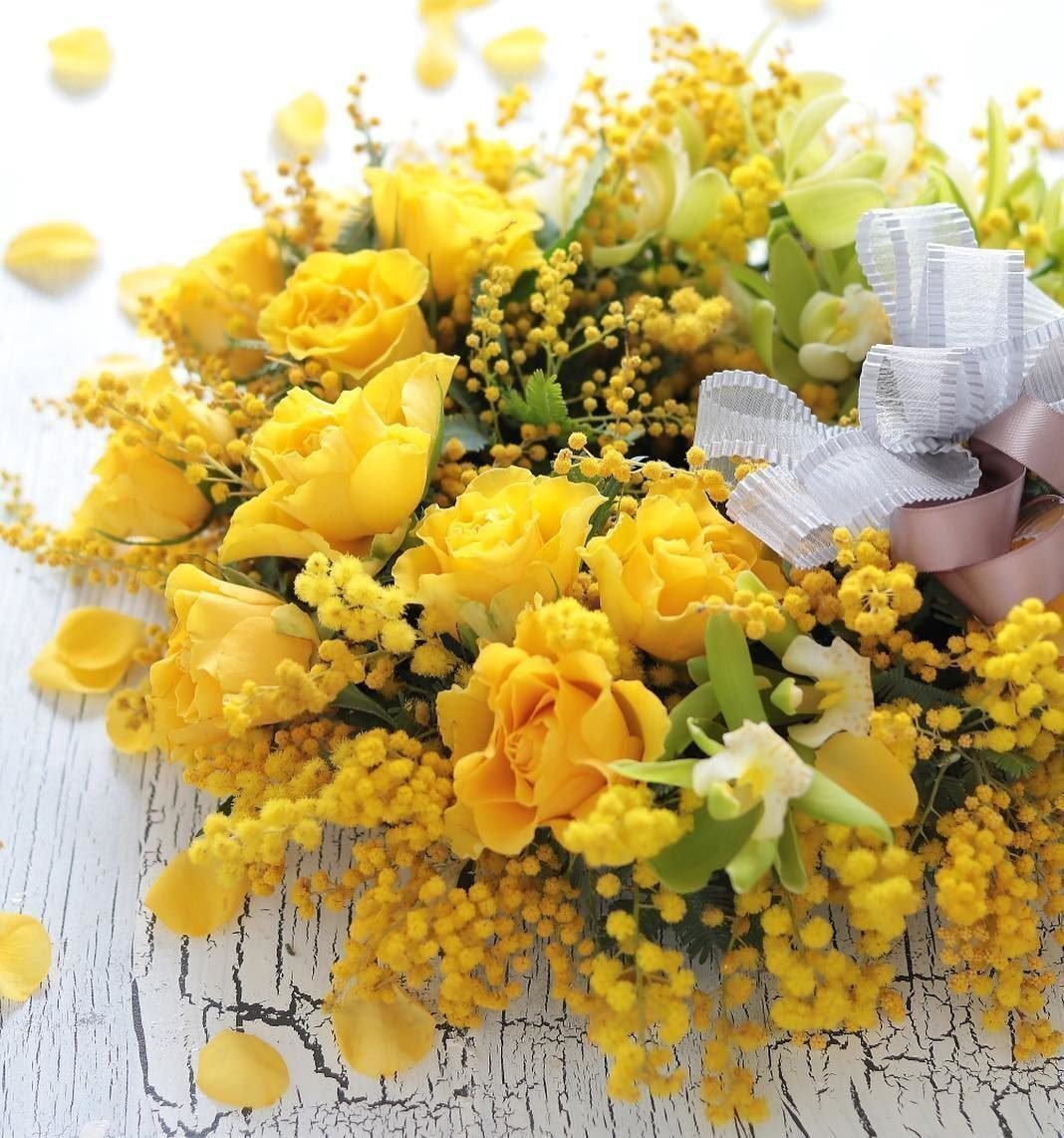 Веточка мимозы