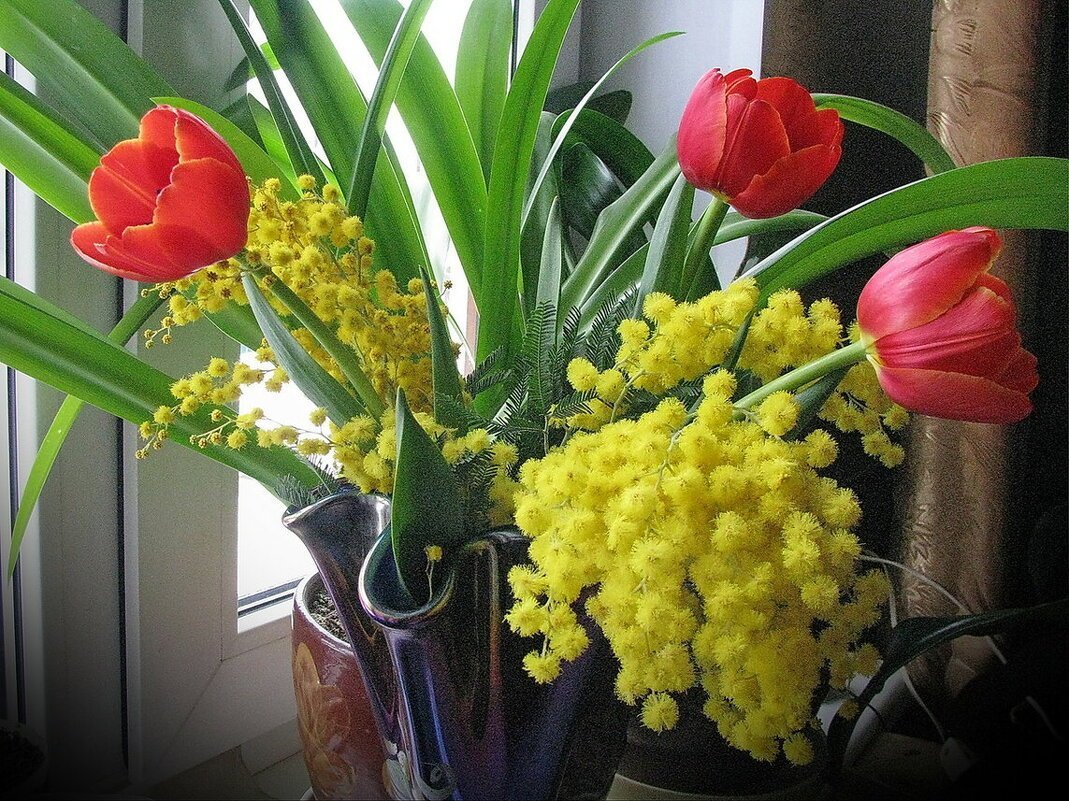 Весна 8 марта тюльпаны Мимоза