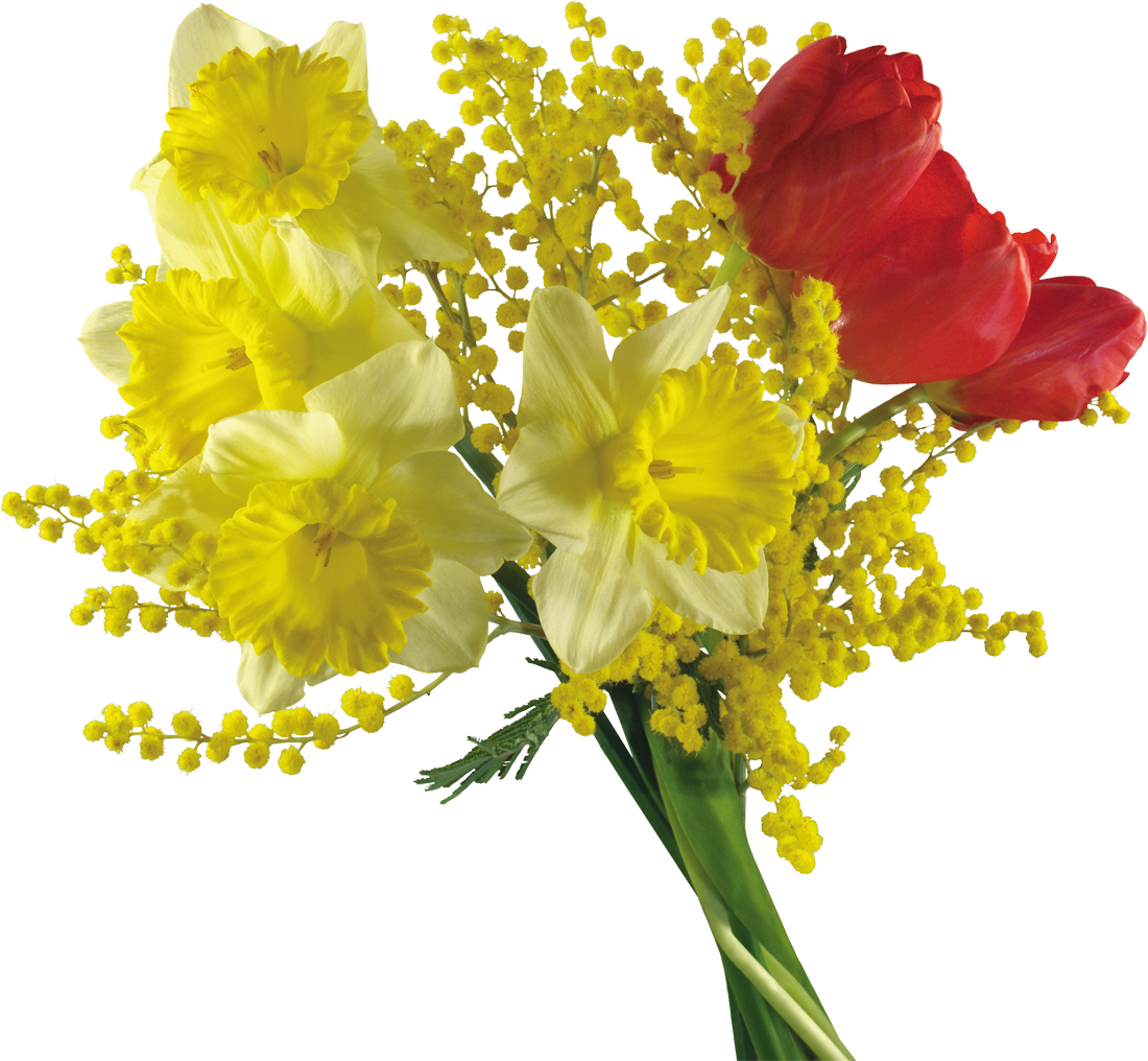 Цветы Мимоза и тюльпаны