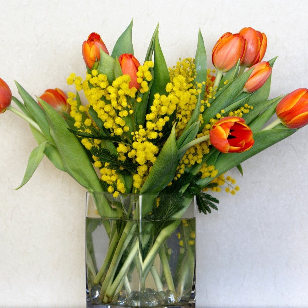 Тюльпаны мимоза картинки