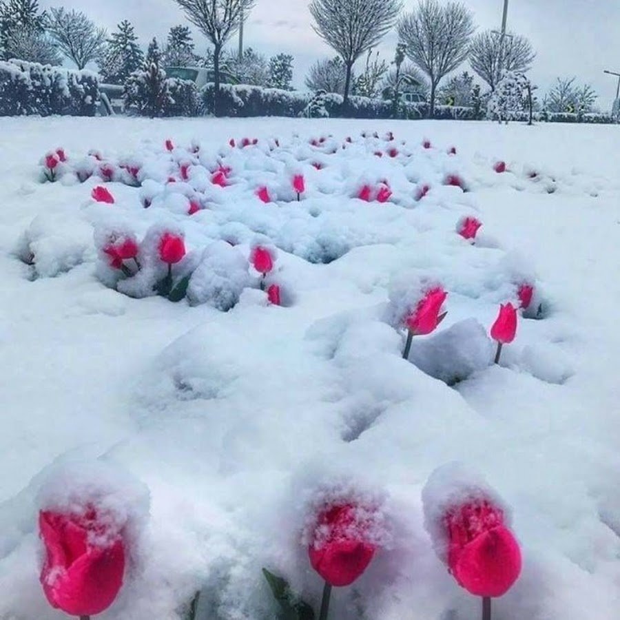 Цитаты про завтра