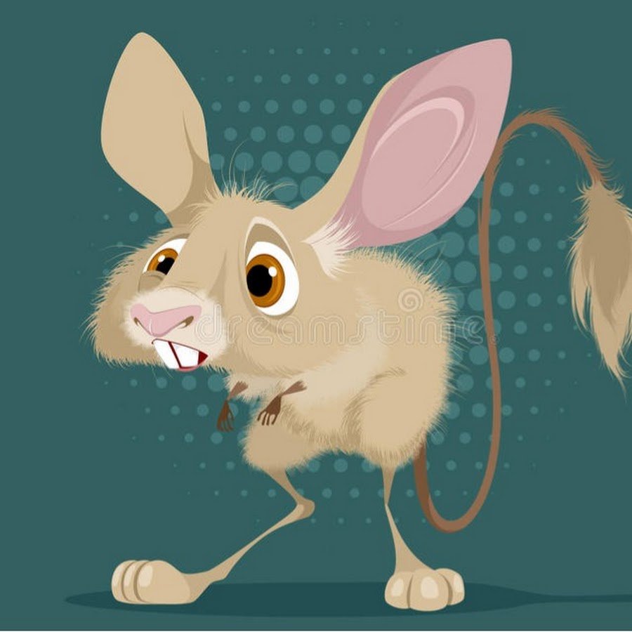 Тушканчик на белом фоне