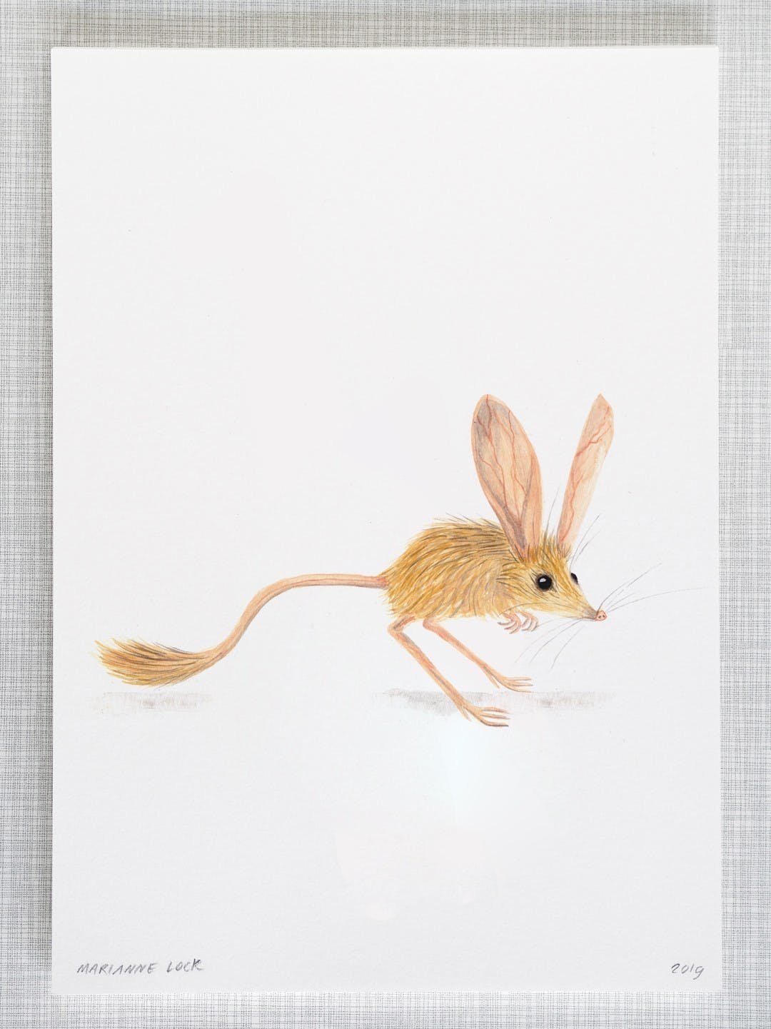 Тушканчик мультяшный