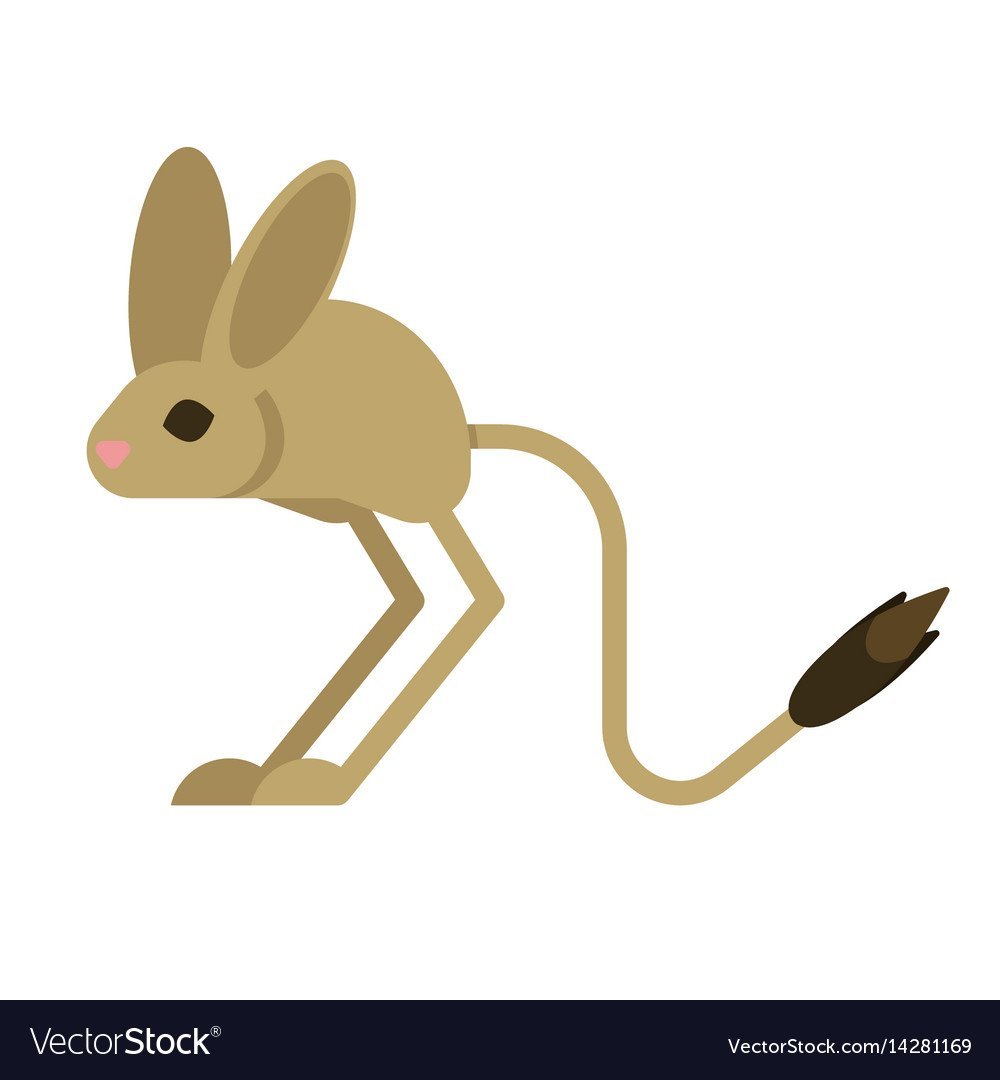 Длинноухий тушканчик