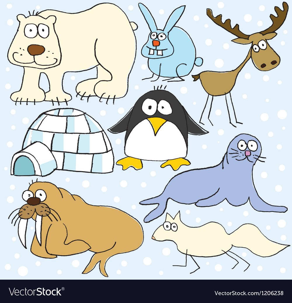 Животные Арктики для детей