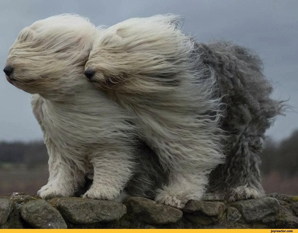 Сильный ветер