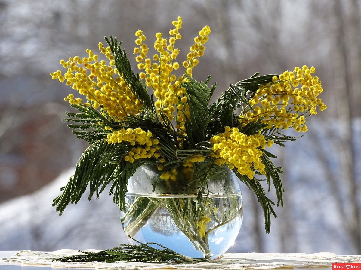 Весенний букет с мимозой