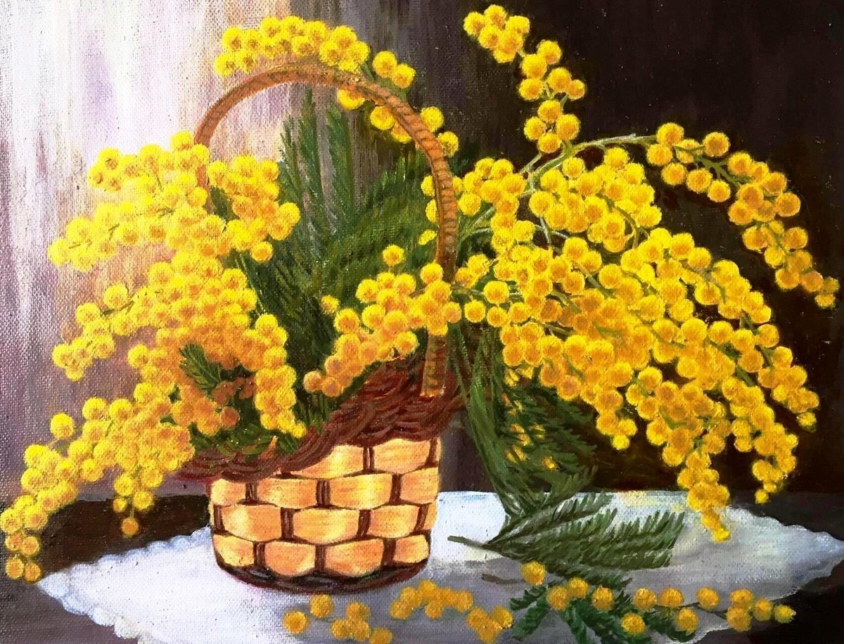 Фольксваген Мимоза