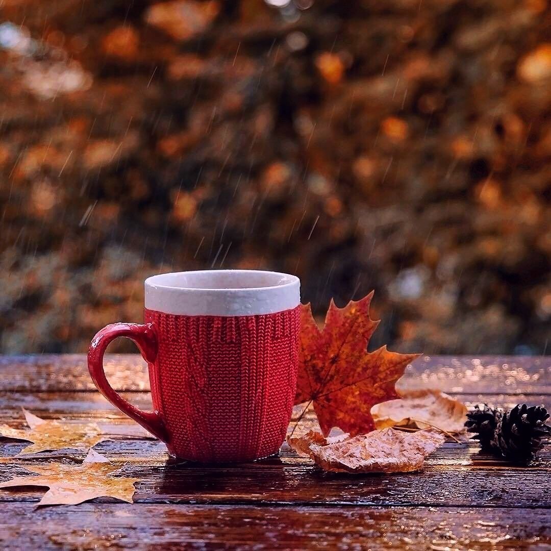 Чашка кофе осенью