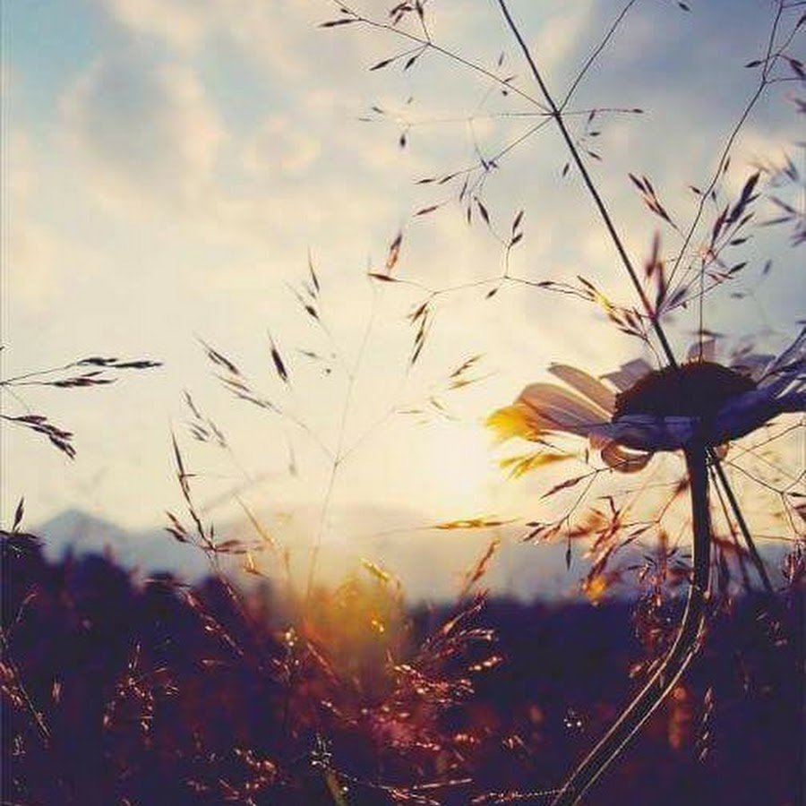 Солнце Вдохновение