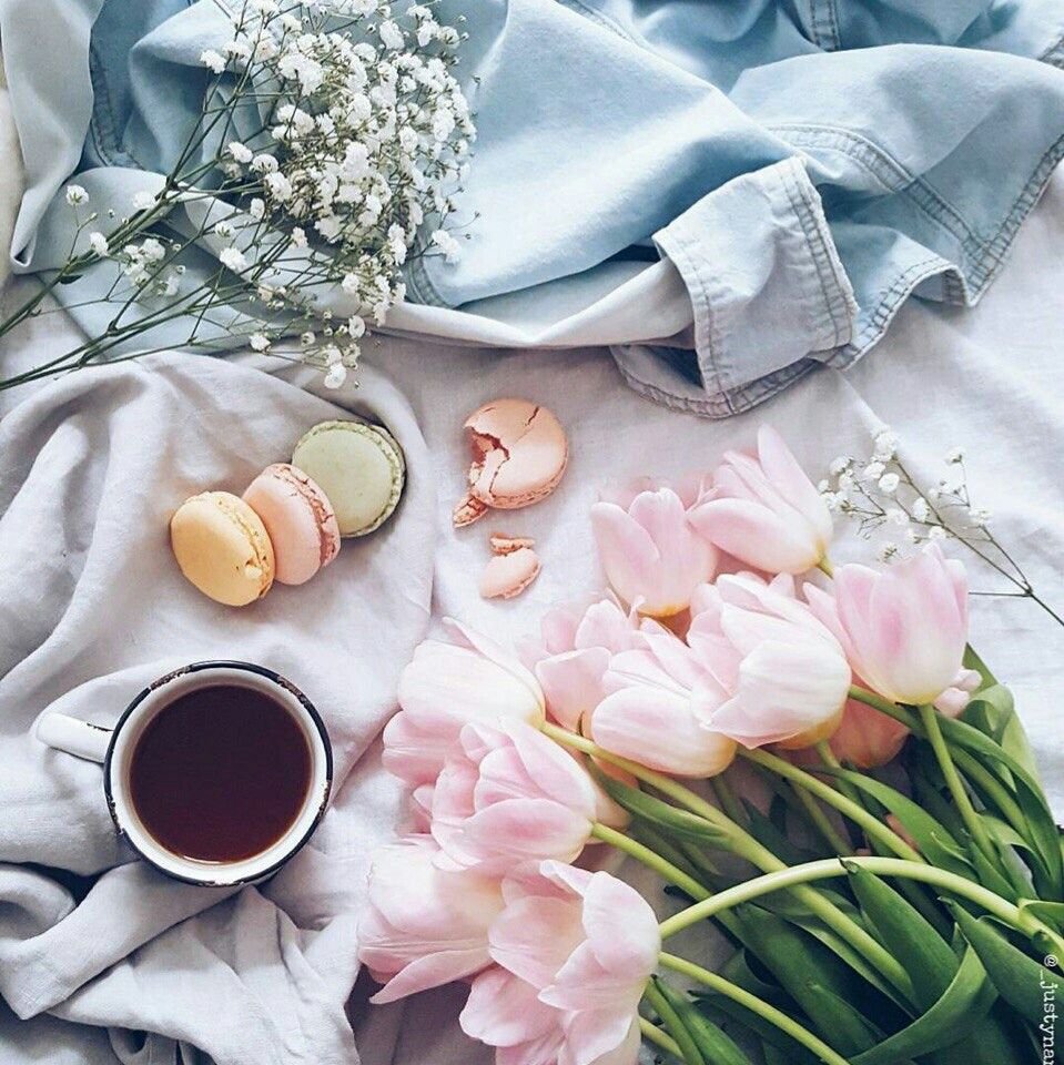 Стильное утро