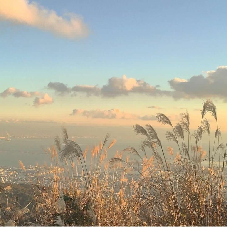 Пейзаж Эстетика поле