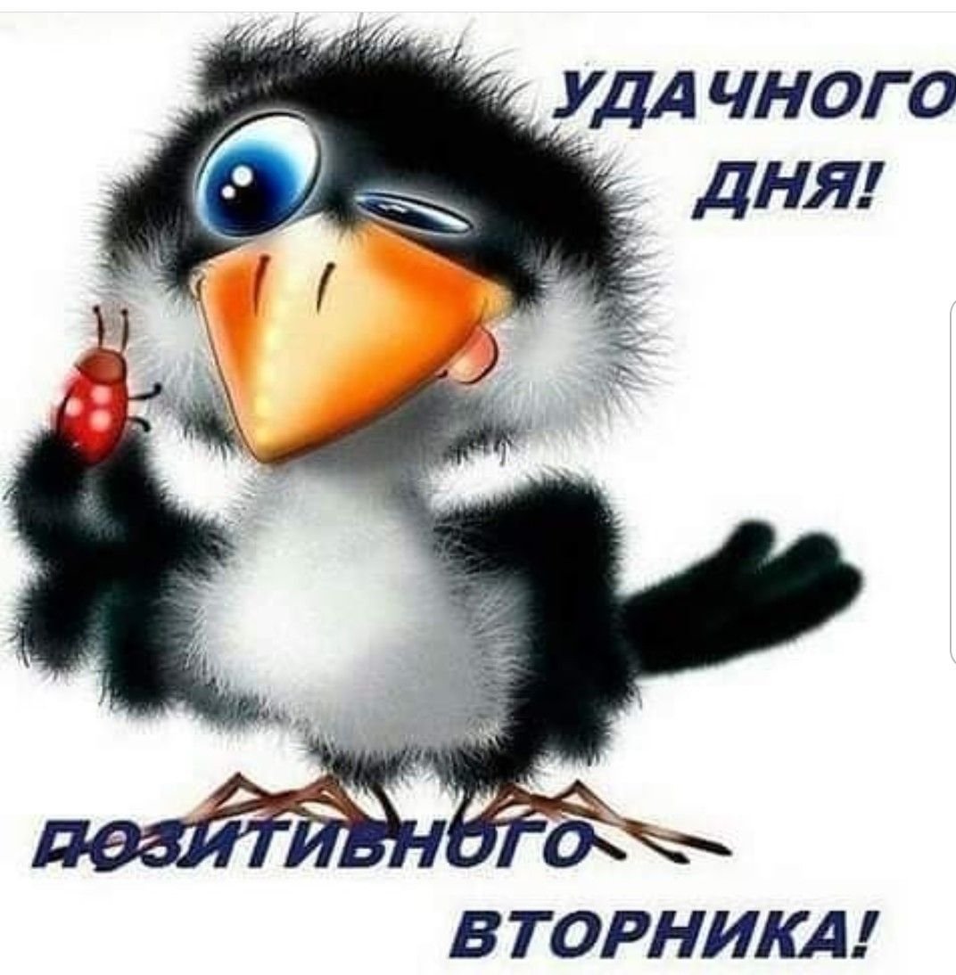 Открытки удачного вторника