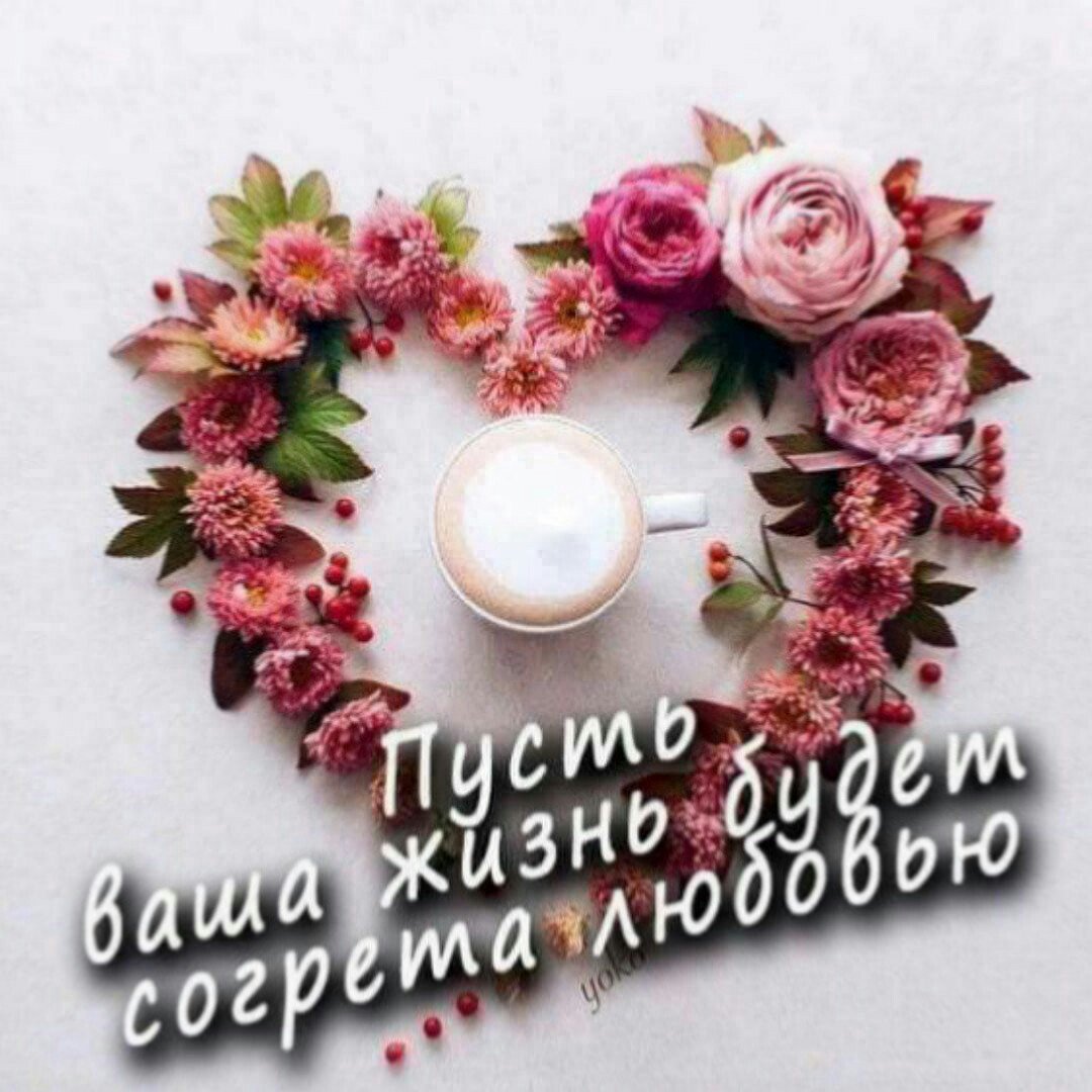 Кот шерстяное изделие развлекательного