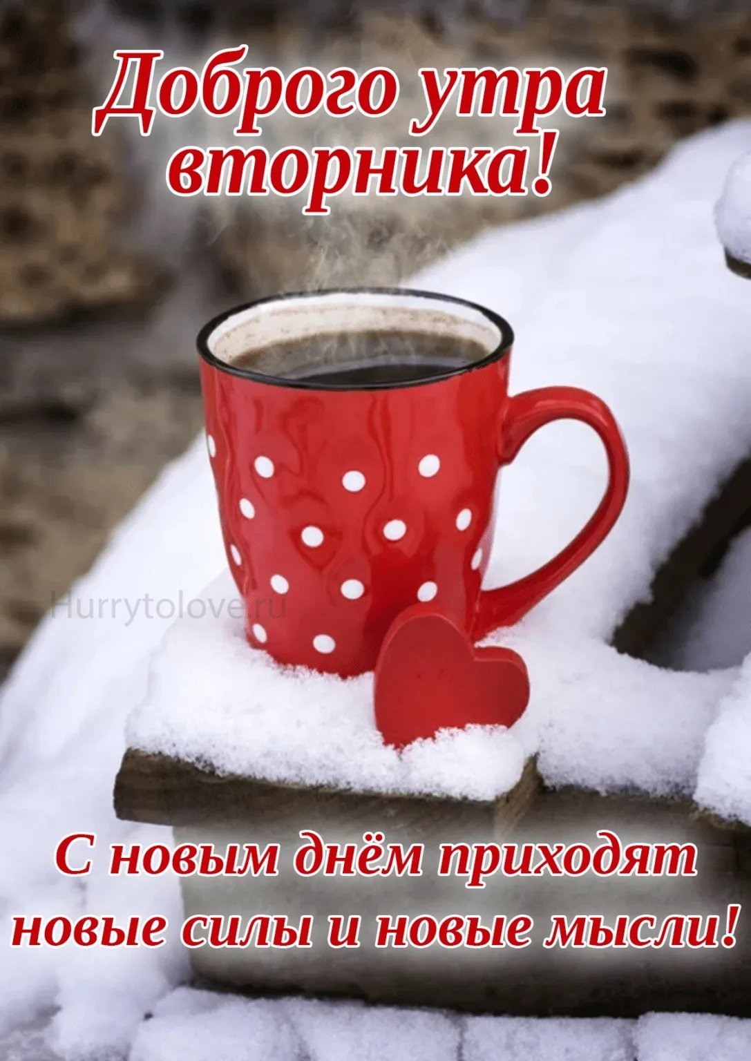 Вот и вторник наступил картинки