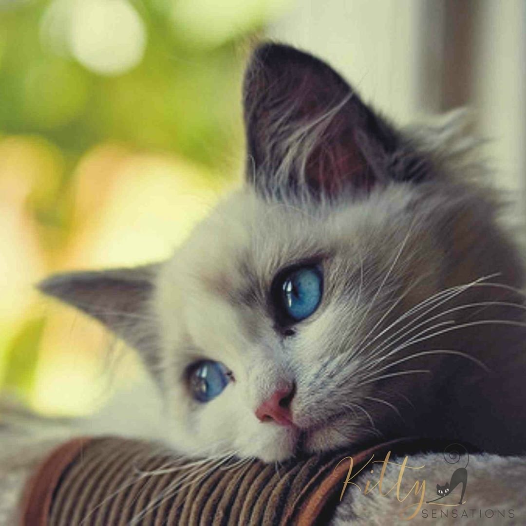 Самые трогательные статусы