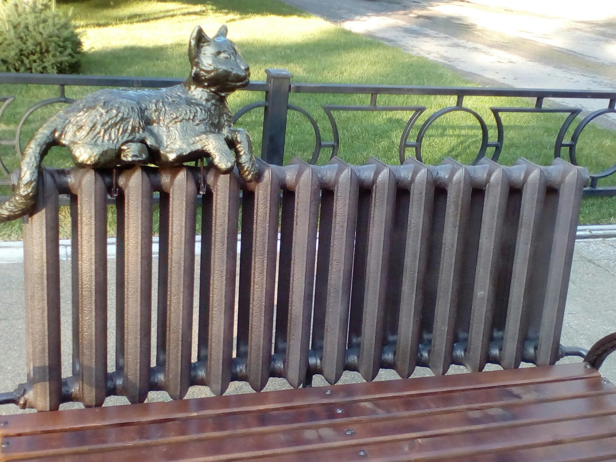 Спящие коты