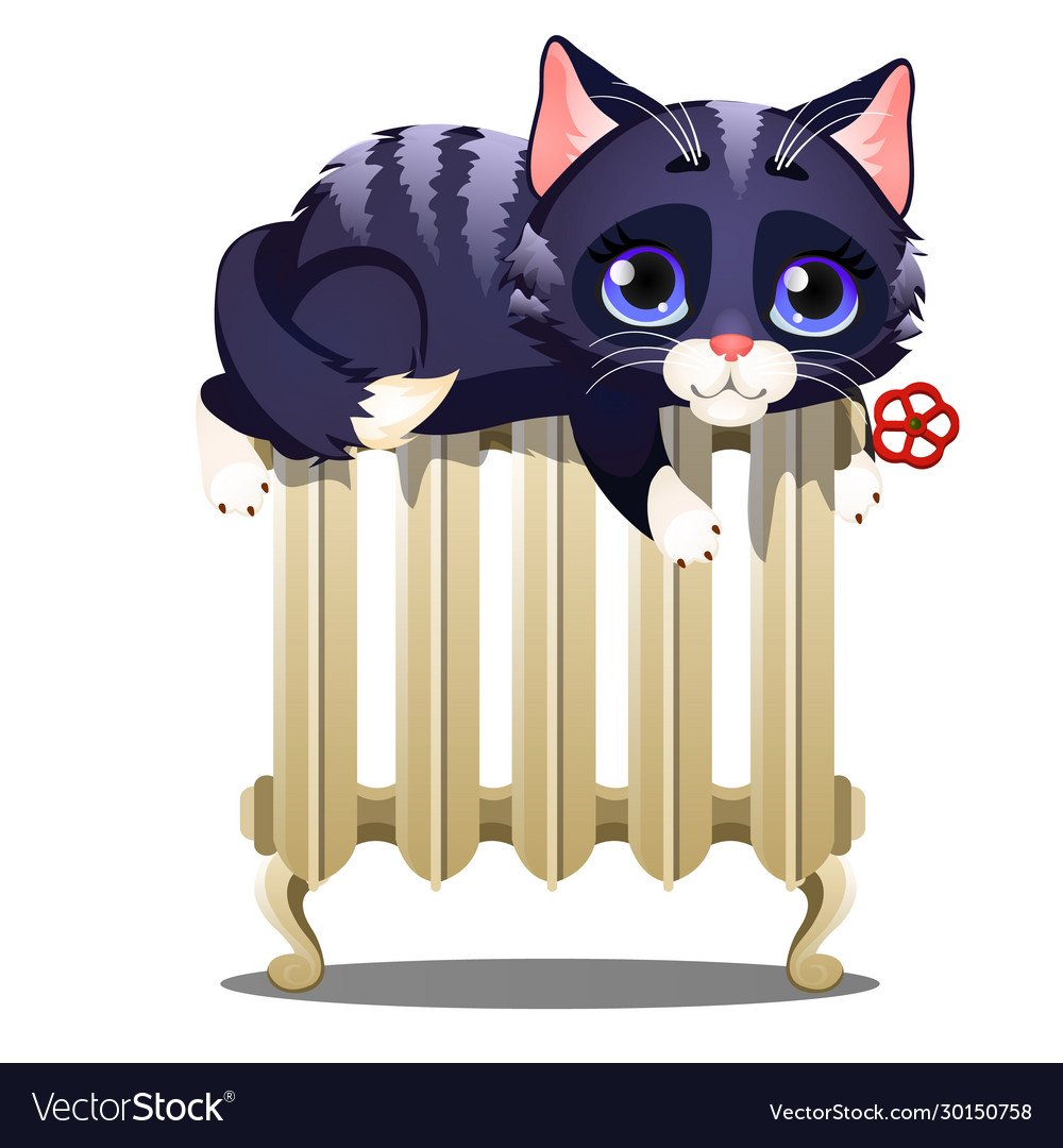 Кот на батарее