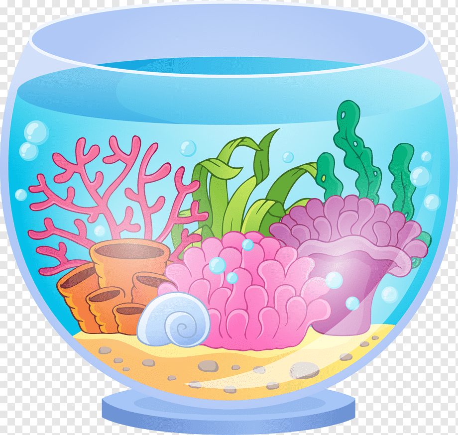 Аквариум с водой без рыбок