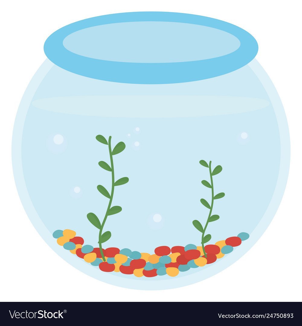 Аквариум с водой без рыбок