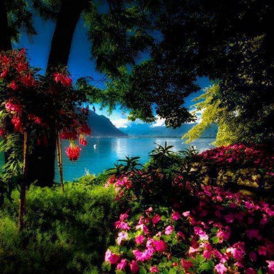 Райская красота природы