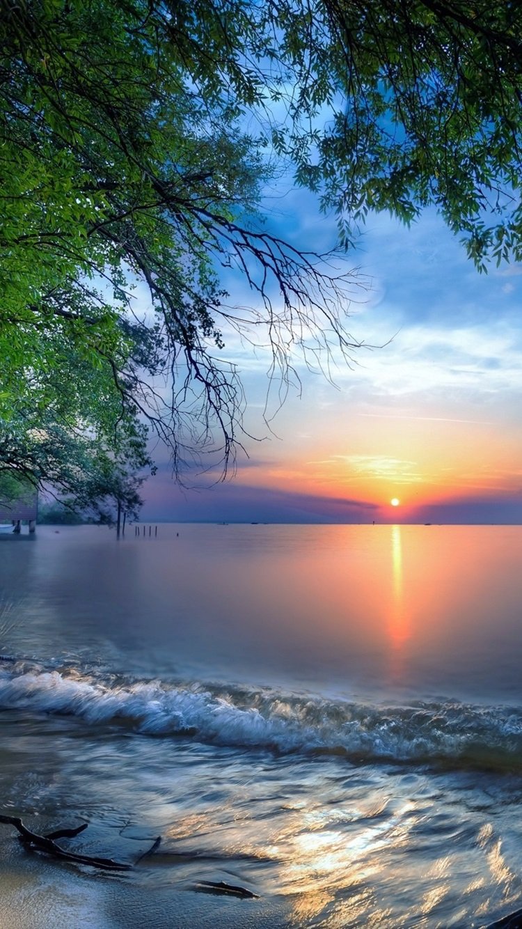 Природа море