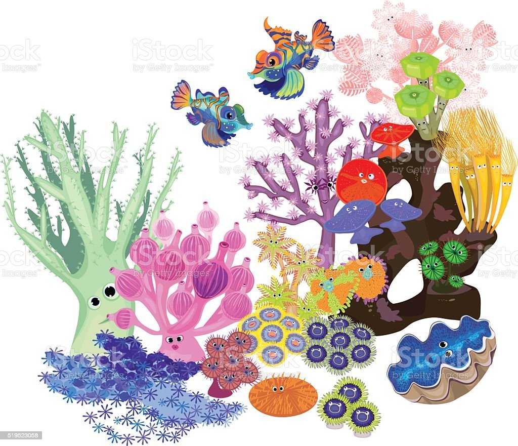 Подводный мир на белом фоне