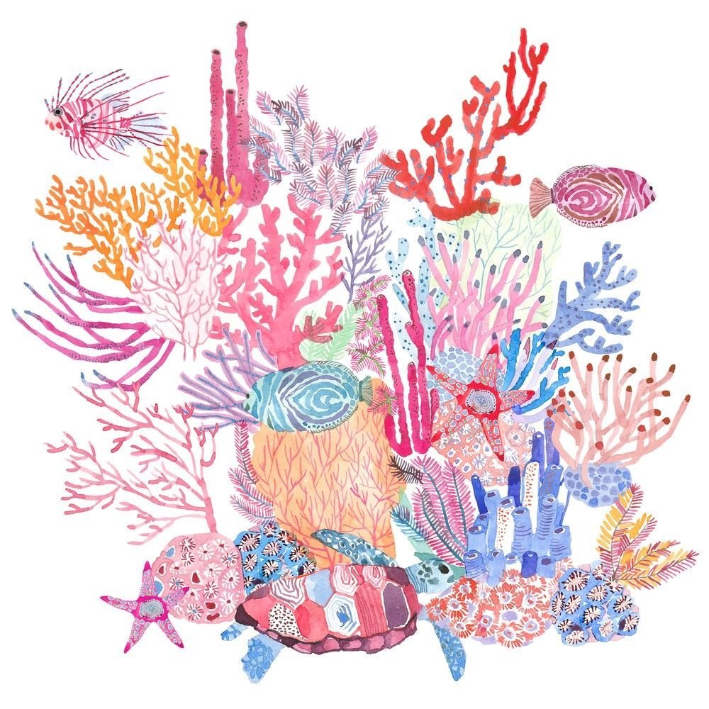 Разноцветные кораллы