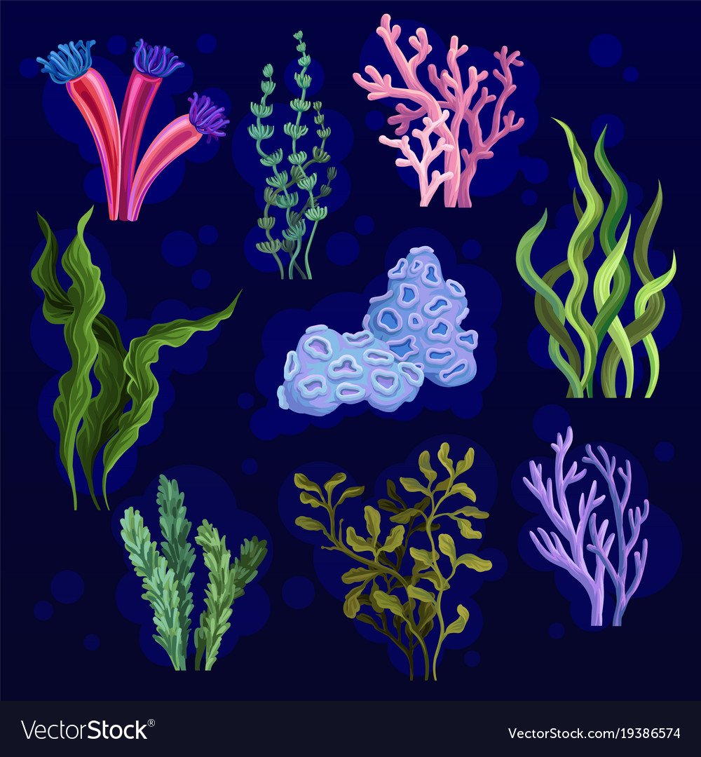 Кораллы мультяшные