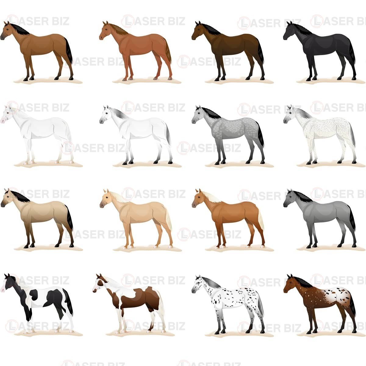 Гиппарион лошадь