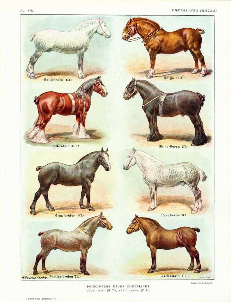 Гиракотерий эогиппус