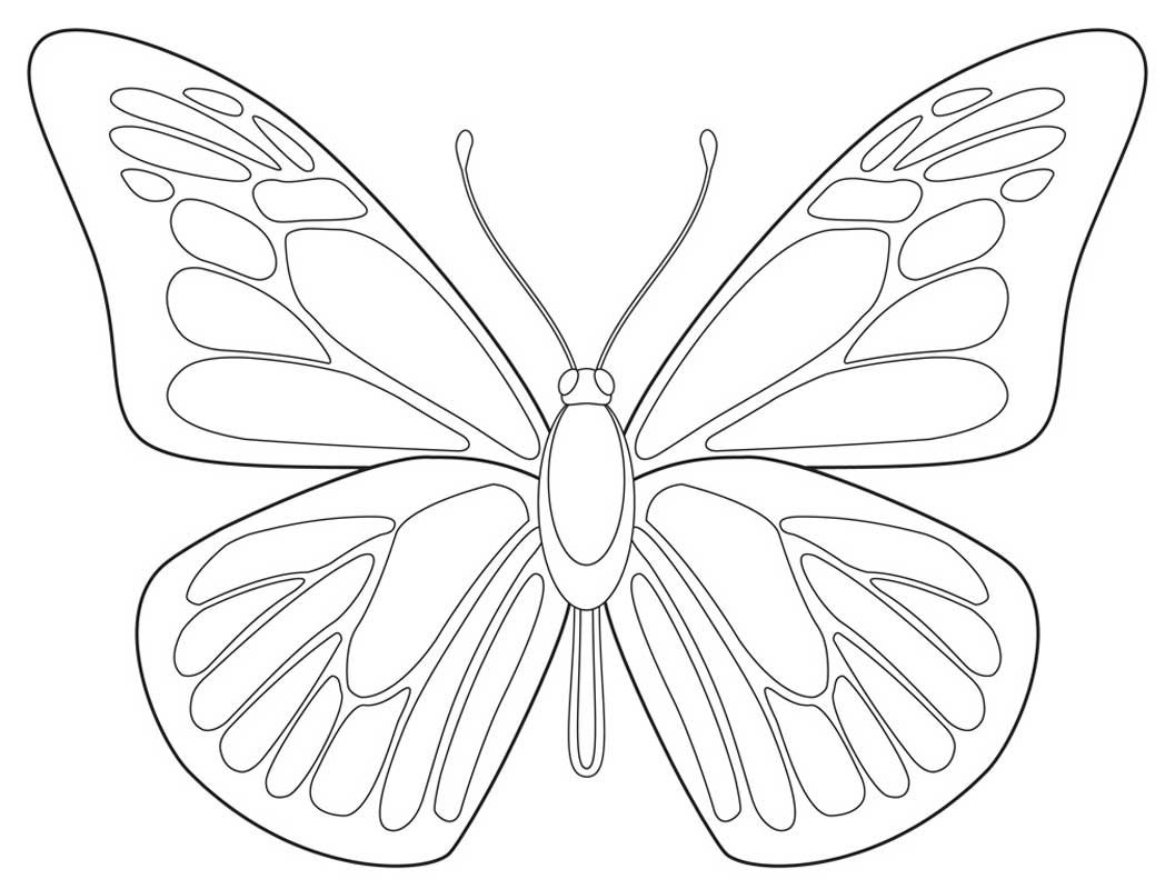 Бабочка контур для вырезания