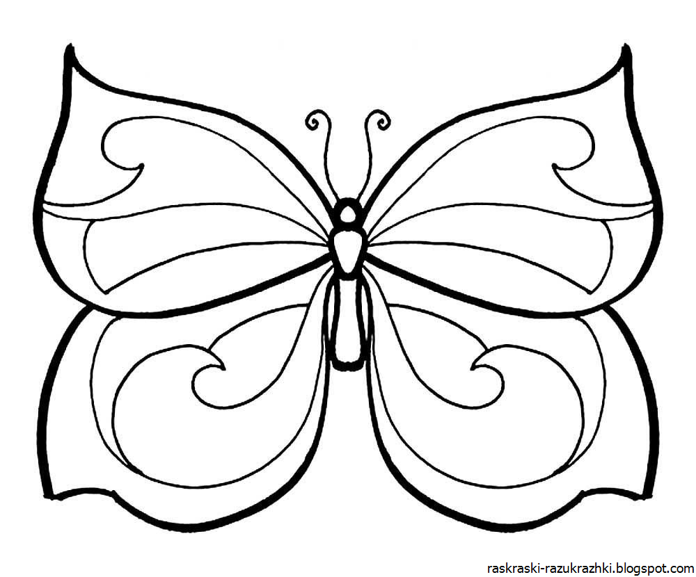 Раскраска "бабочки"