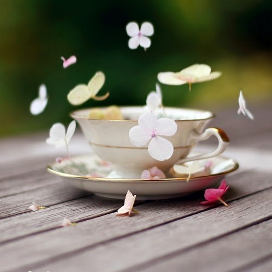 Доброе волшебное утро