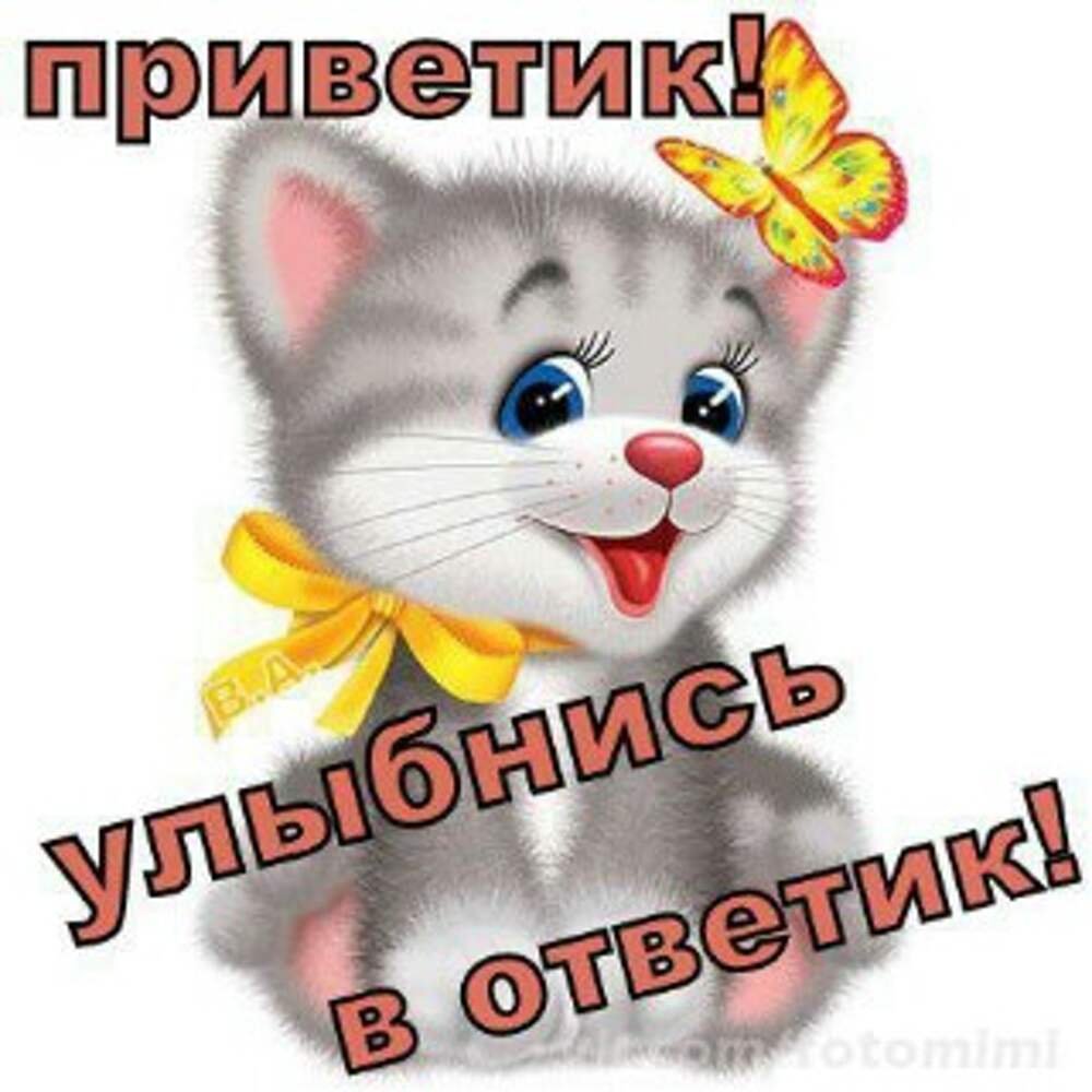 Хорошего дня прикольные