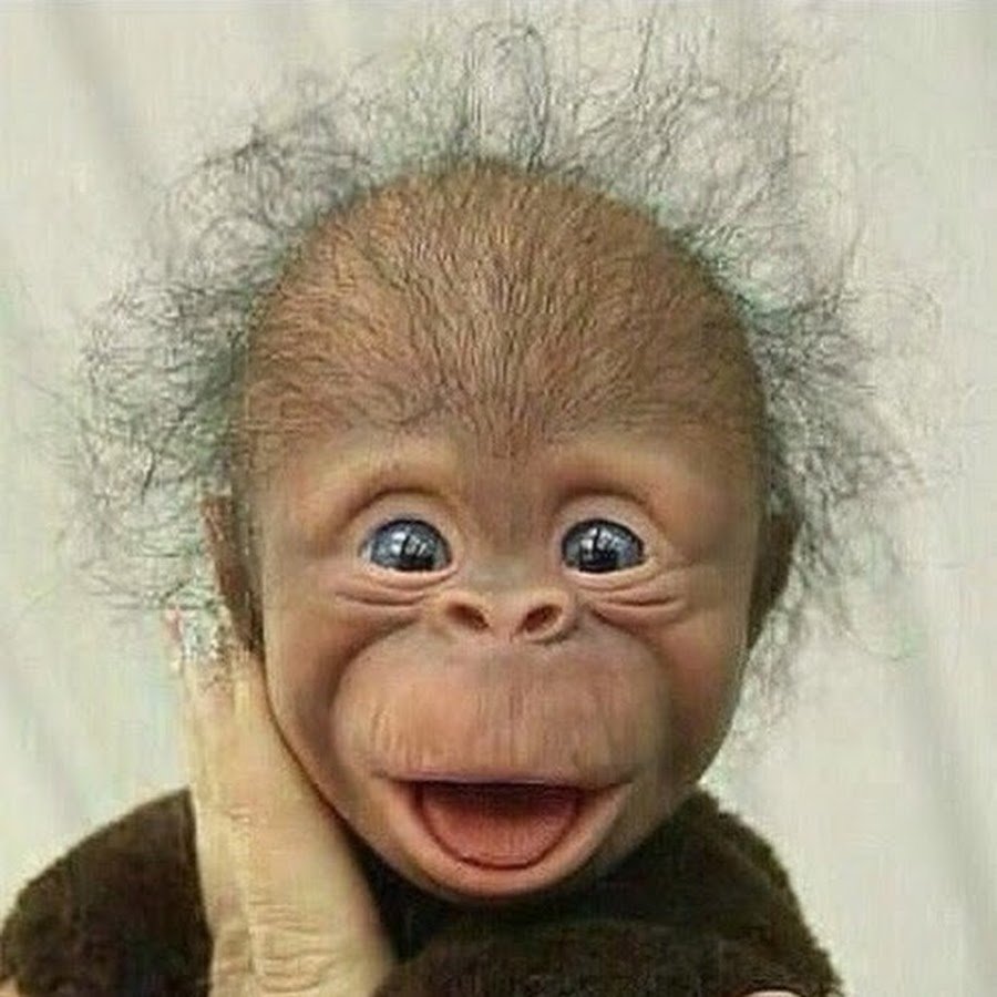 Привет как дела