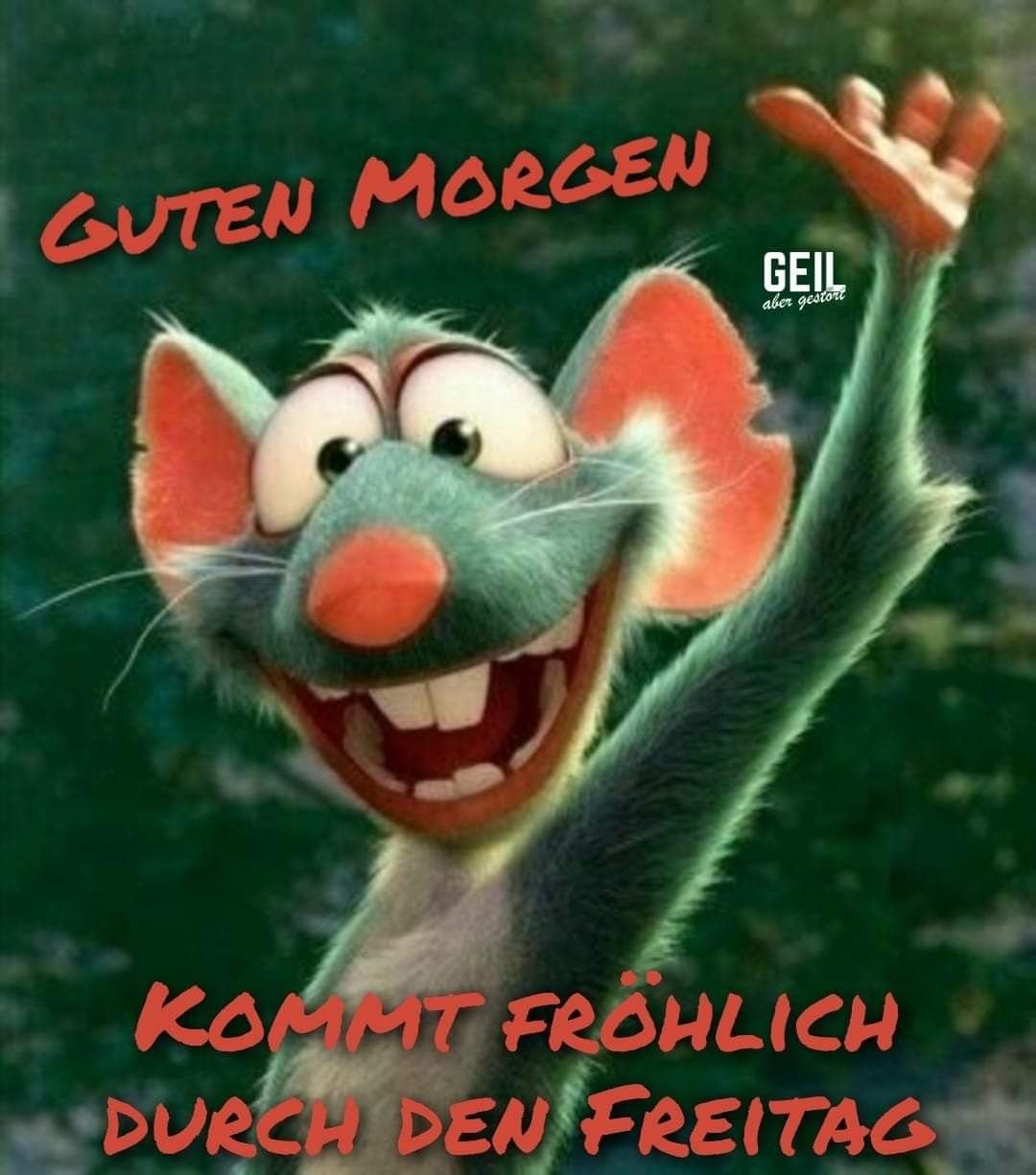 Приветик котик