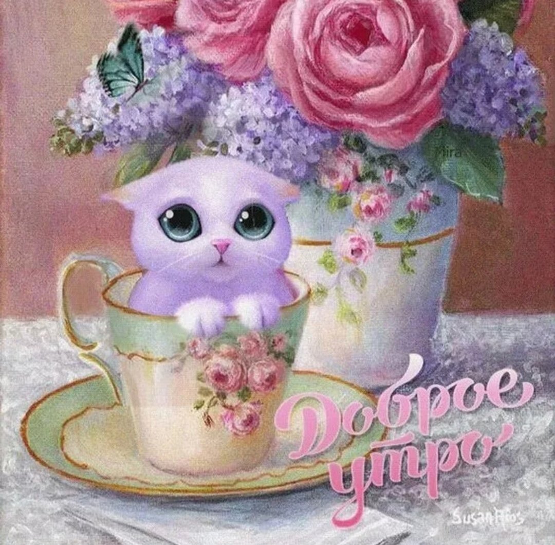 Люблю целую