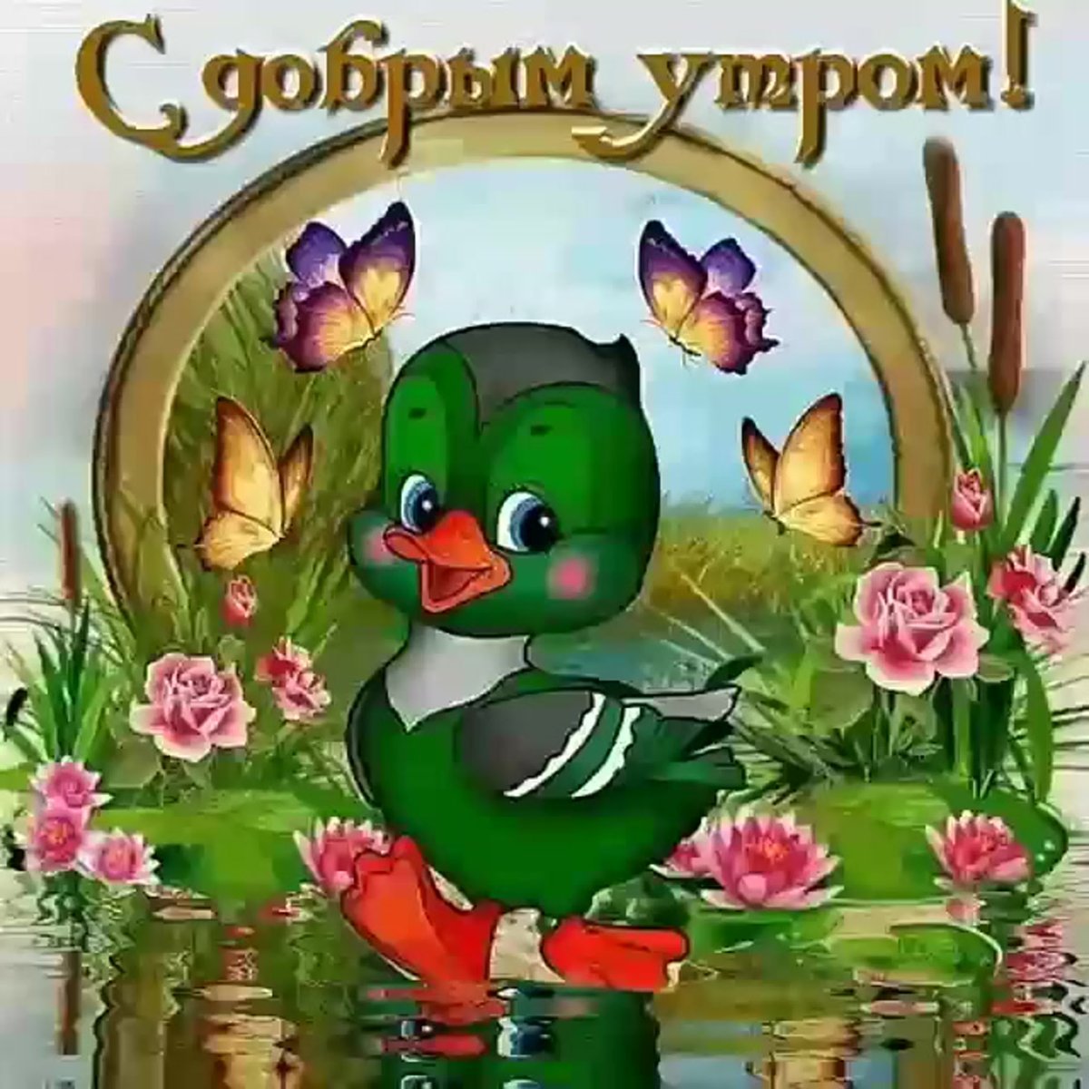 Доброе утро для инстаграмма