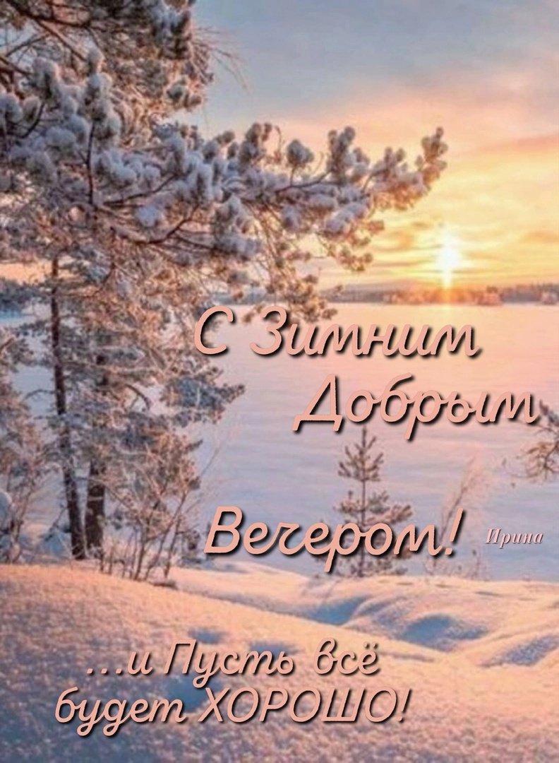 Березы на закате зимой