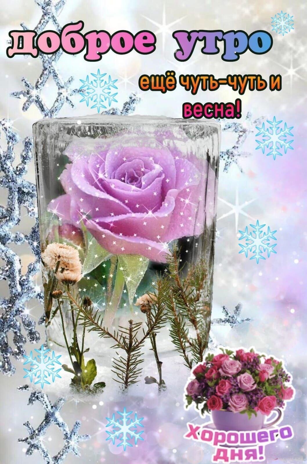 Спокойной ночи зима