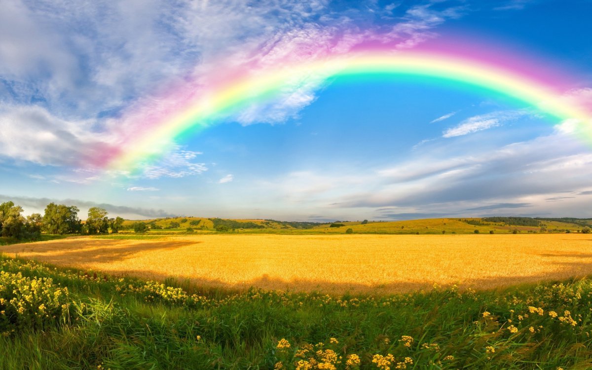 Радуга над лугом