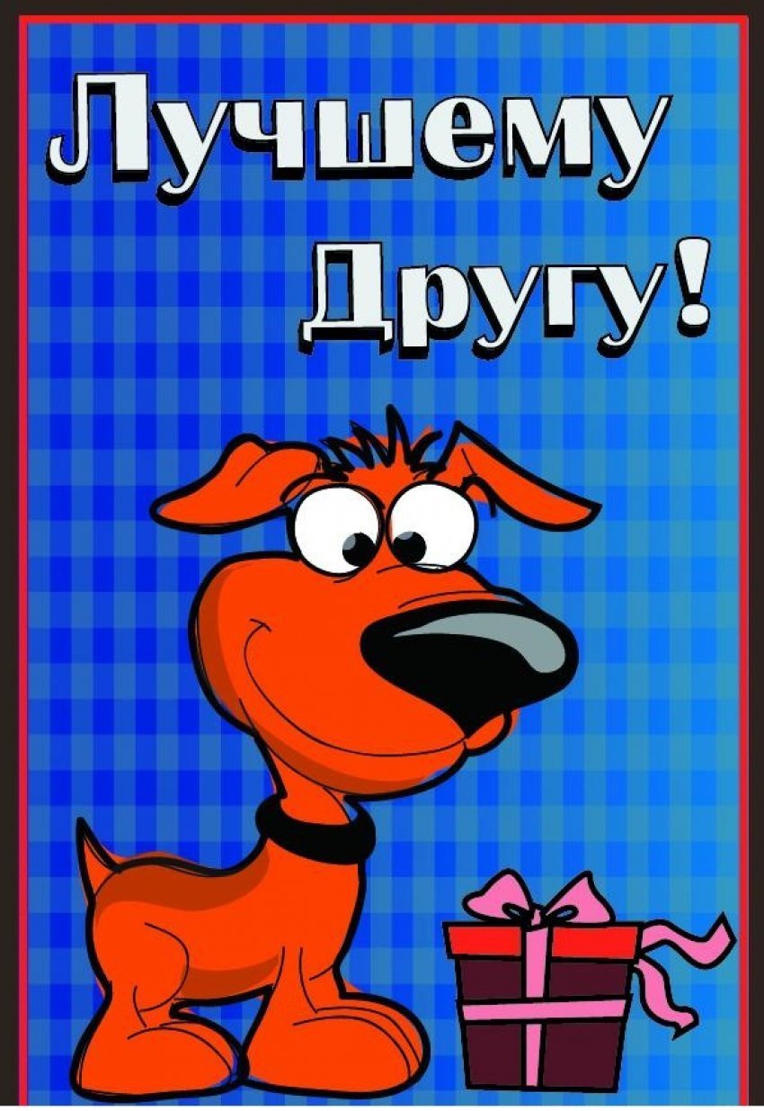 Прикольные открытки