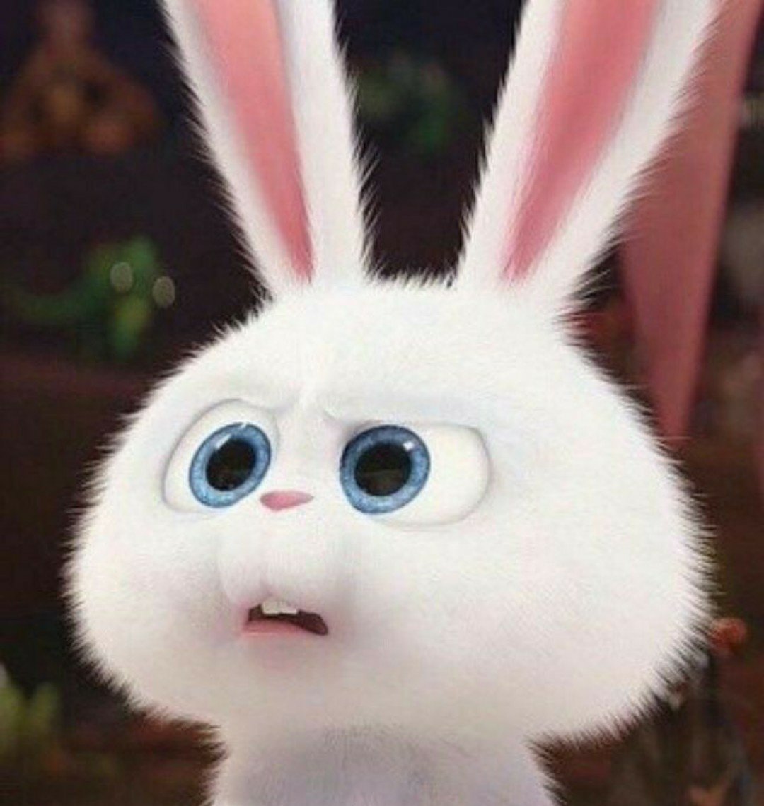 Тайная жизнь домашних животных кро